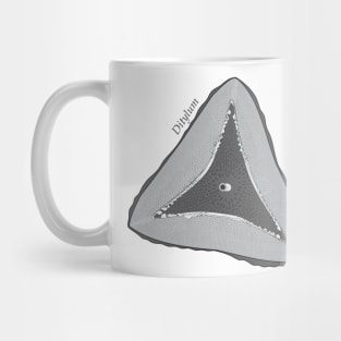 Diatom - Ditylum (scientific) Mug